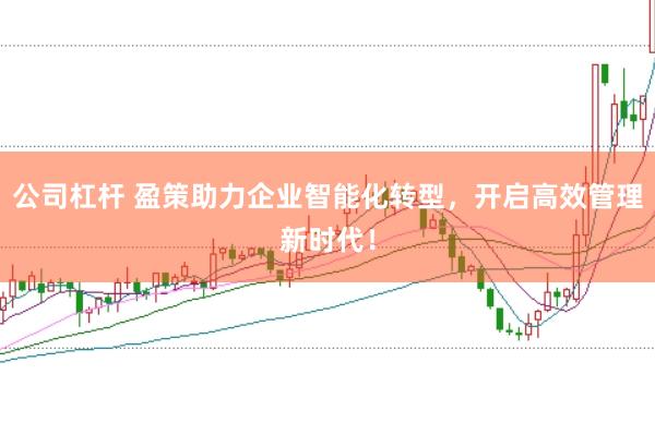 公司杠杆 盈策助力企业智能化转型，开启高效管理新时代！