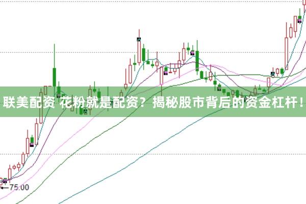 联美配资 花粉就是配资？揭秘股市背后的资金杠杆！
