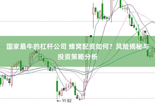 国家最牛的杠杆公司 蜂窝配资如何？风险揭秘与投资策略分析