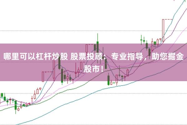哪里可以杠杆炒股 股票投顾：专业指导，助您掘金股市！