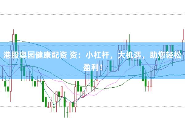 港股奥园健康配资 资：小杠杆，大机遇，助您轻松盈利！