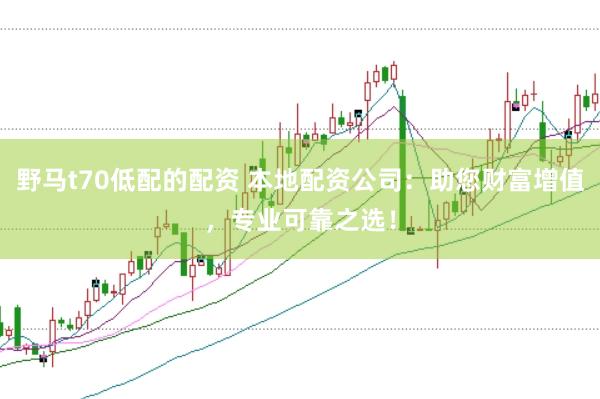 野马t70低配的配资 本地配资公司：助您财富增值，专业可靠之选！
