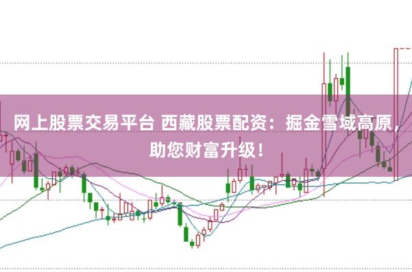 网上股票交易平台 西藏股票配资：掘金雪域高原，助您财富升级！