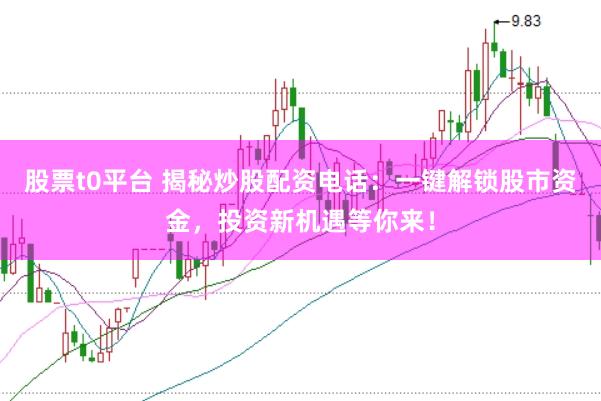 股票t0平台 揭秘炒股配资电话：一键解锁股市资金，投资新机遇等你来！