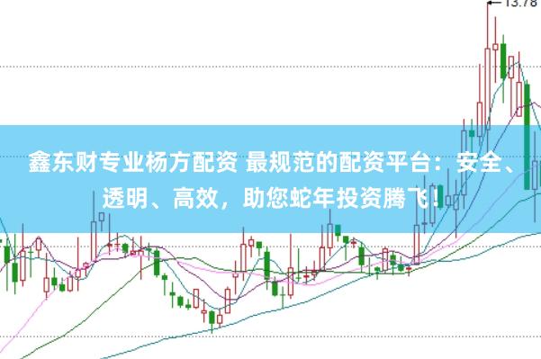 鑫东财专业杨方配资 最规范的配资平台：安全、透明、高效，助您蛇年投资腾飞！