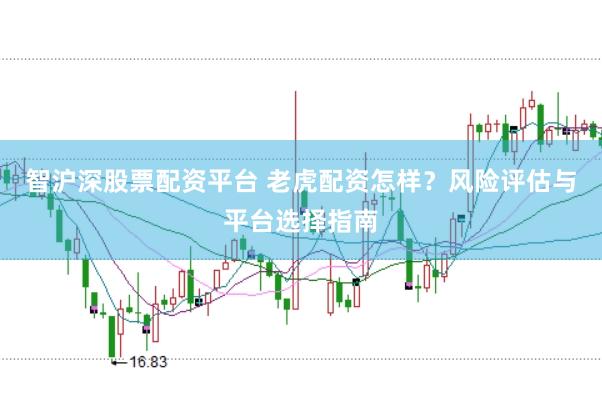 智沪深股票配资平台 老虎配资怎样？风险评估与平台选择指南