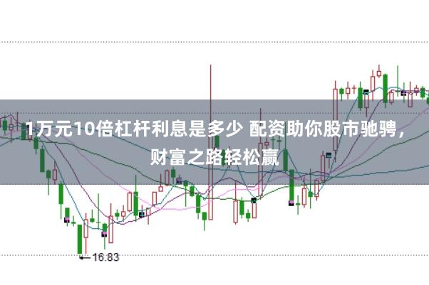 1万元10倍杠杆利息是多少 配资助你股市驰骋，财富之路轻松赢