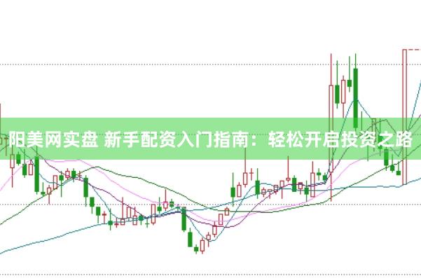 阳美网实盘 新手配资入门指南：轻松开启投资之路
