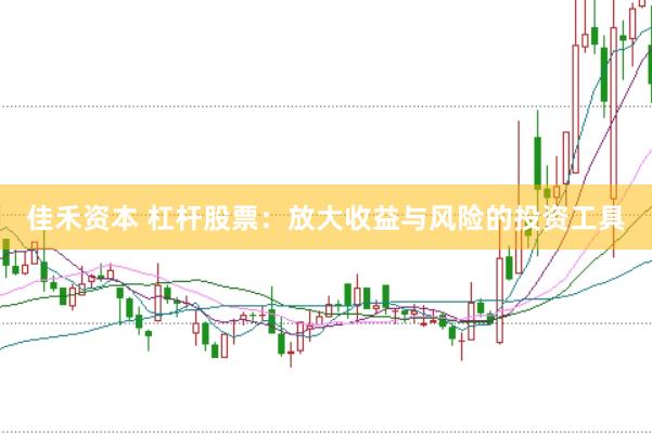 佳禾资本 杠杆股票:放大收益与风险的投资工具