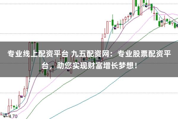专业线上配资平台 九五配资网：专业股票配资平台，助您实现财富增长梦想！
